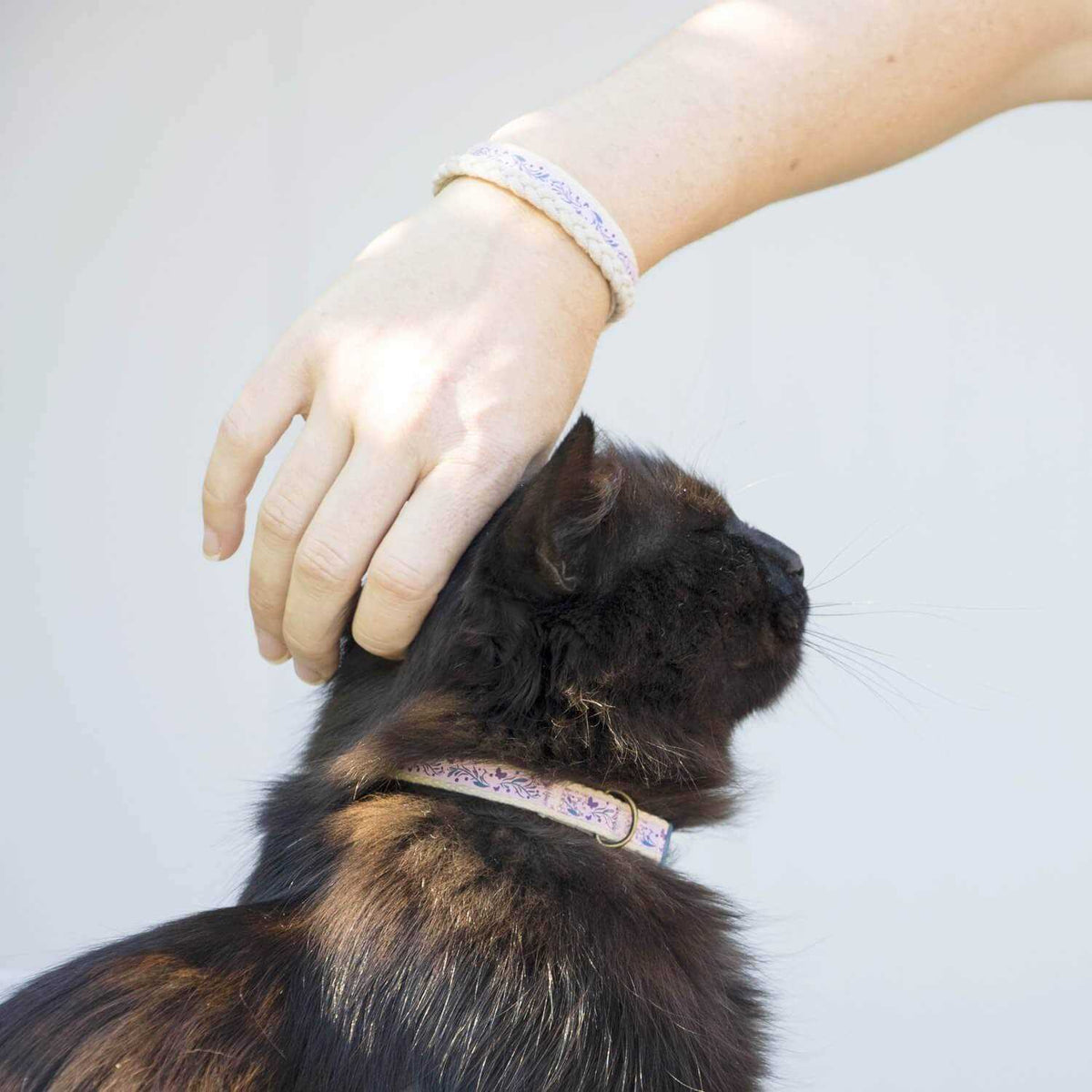 Cat Collar Breakaway I6341