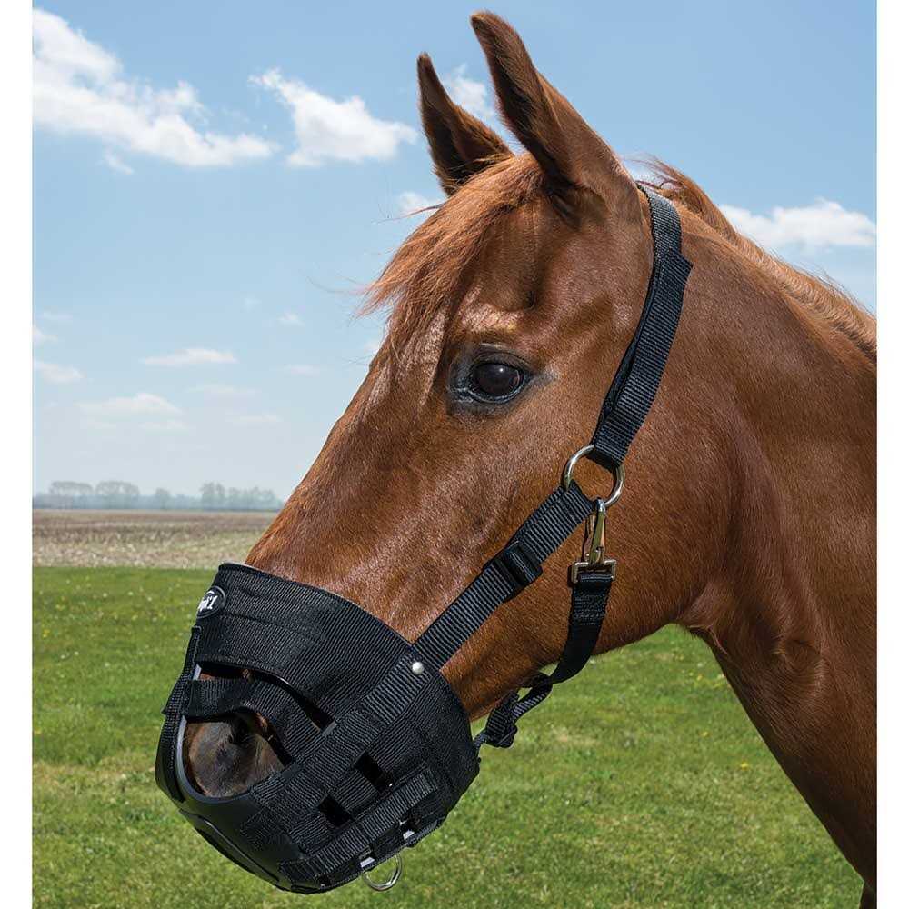 Poly Grazing Muzzle J78975