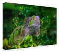 Canvas Art M955