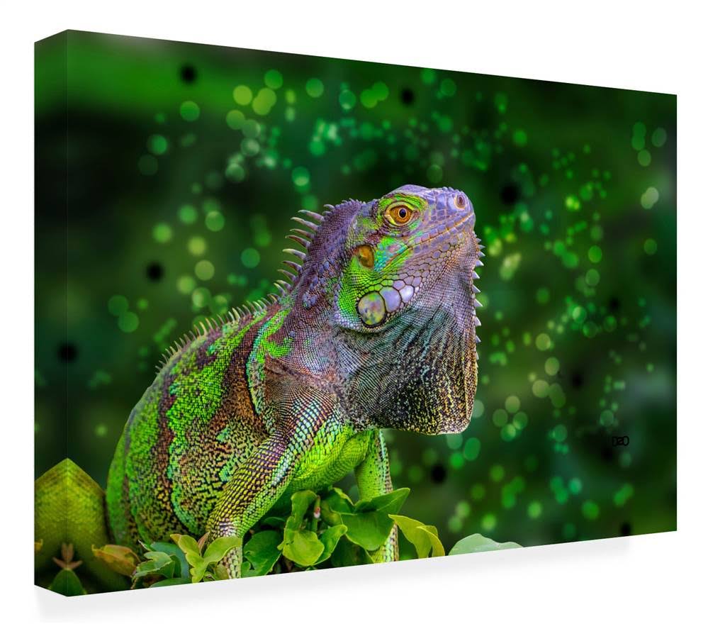 Canvas Art M955