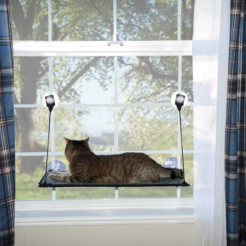 Window Kitty Sill I92593