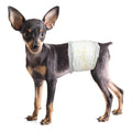 Soft Disposable Male Dog Wraps T1380