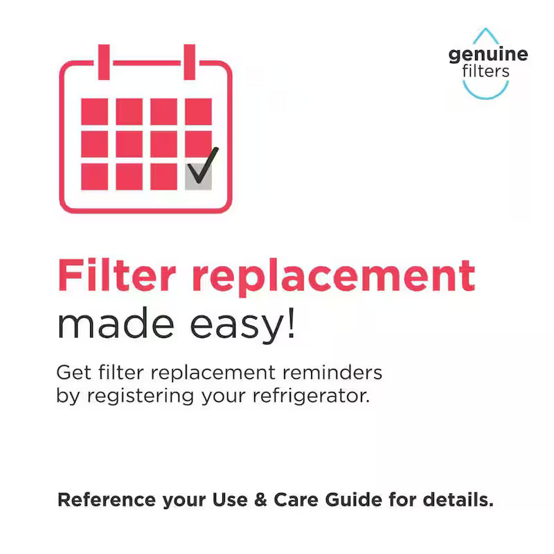 Ice and Water Filter V543