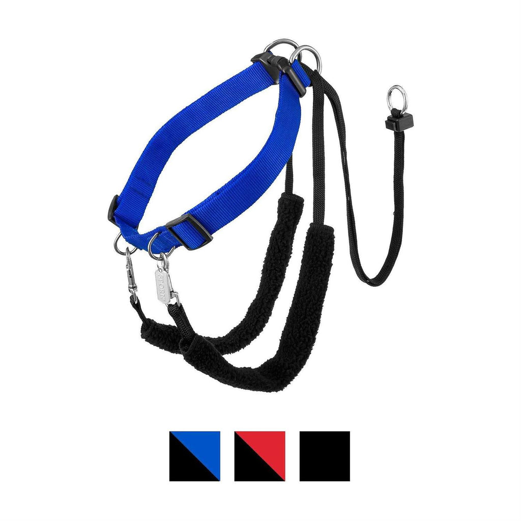 Training Halter Y453