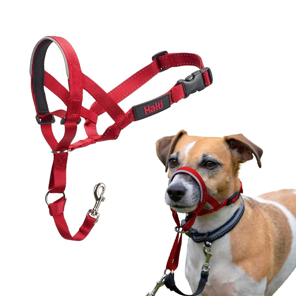 Dog Headcollar L311
