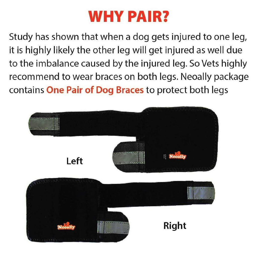 Dog Front Leg Braces and Support Q34315