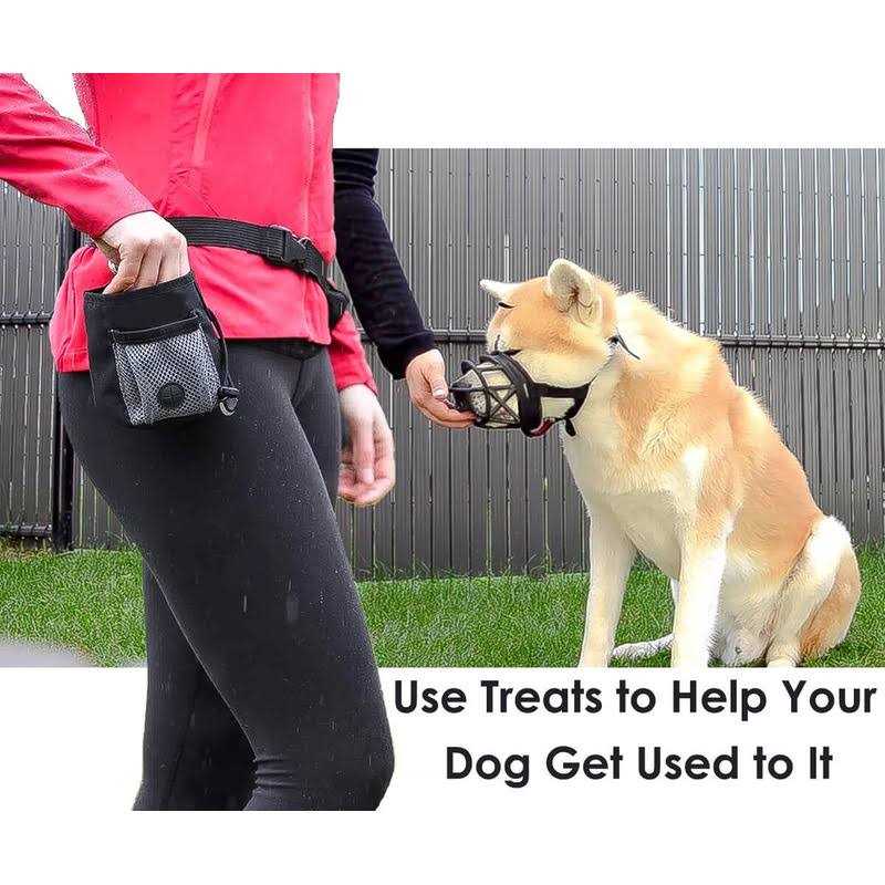 Breathable Silicone Basket Dog Muzzle Z496403