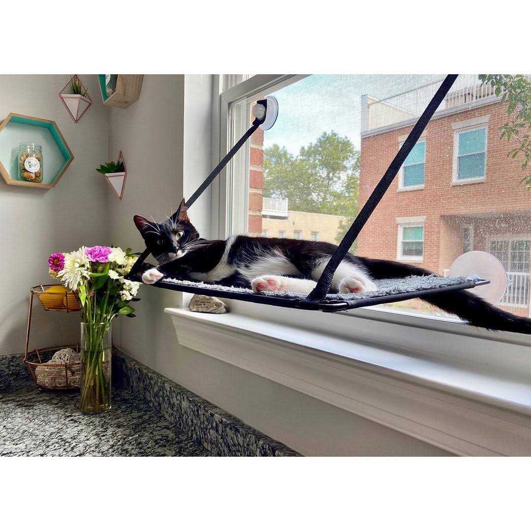 Window Kitty Sill I92593