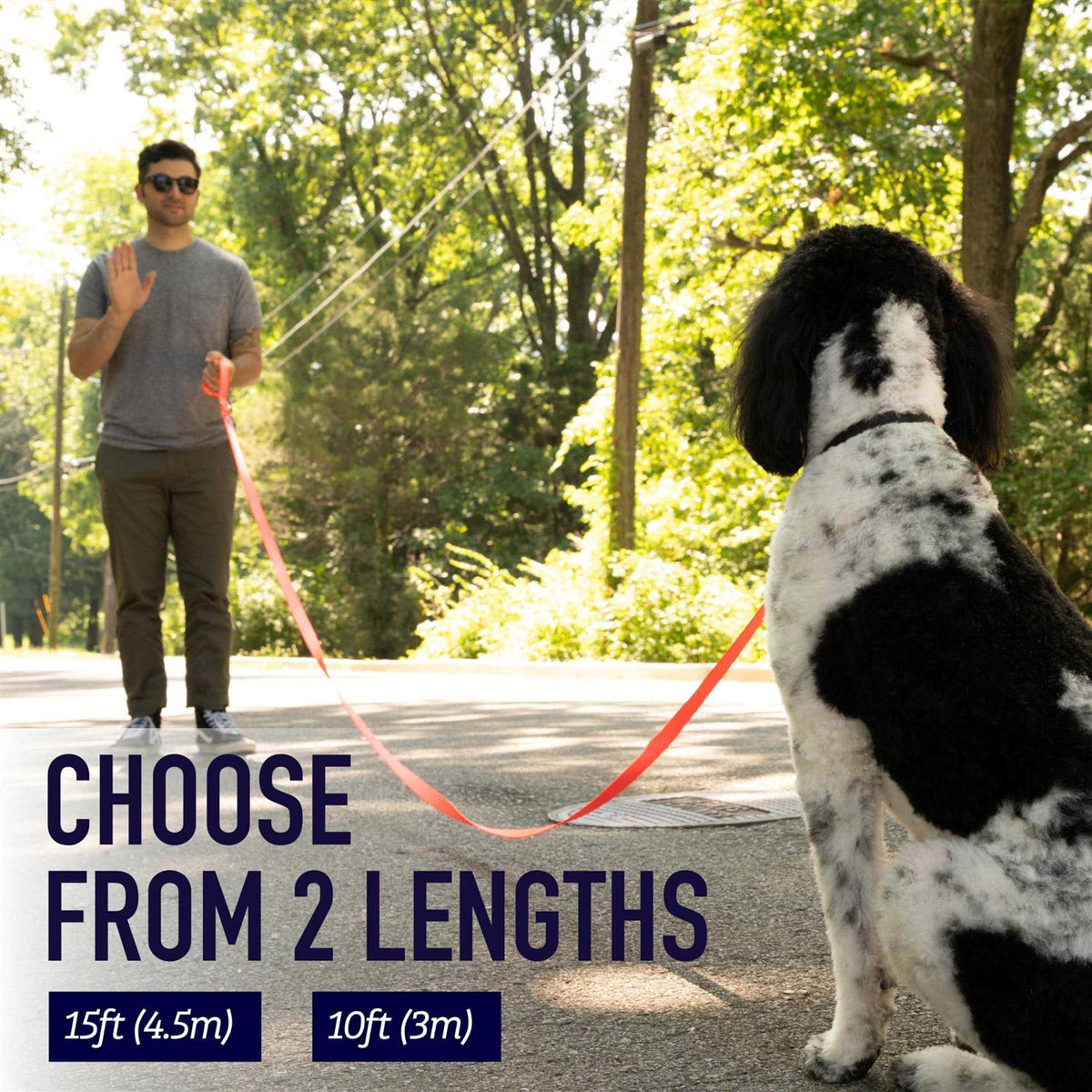 10 Foot Dog Leash with Padded Handle V912664