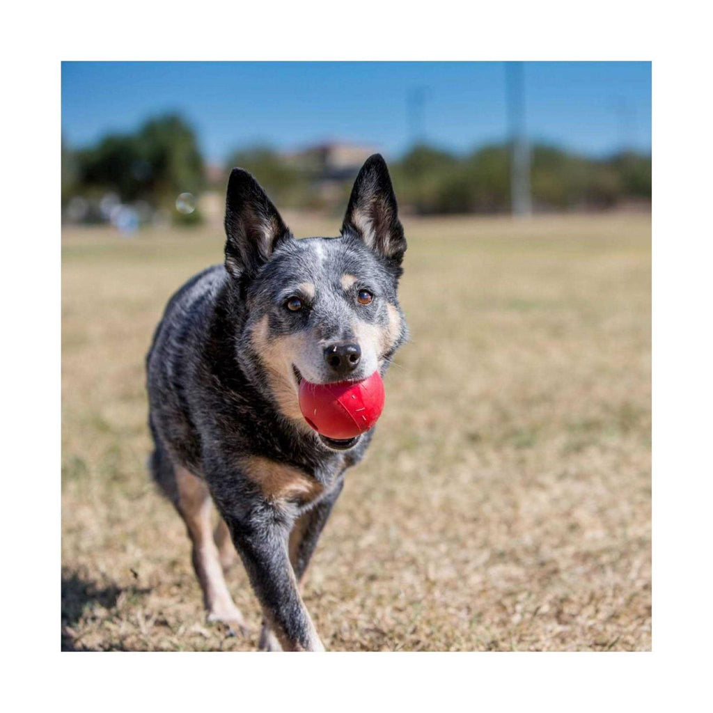 Dog Toy Ball L65712