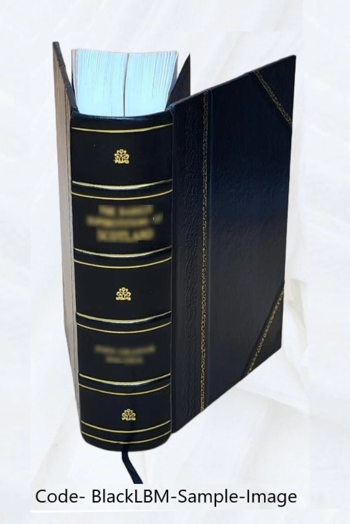 Leather Bound Book X51022