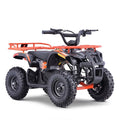 36V Electric 4-Wheeler for Kids F50700