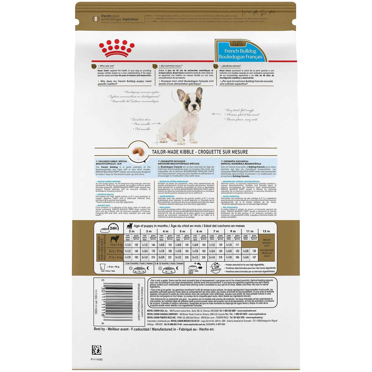 Bulldog Junior P73662