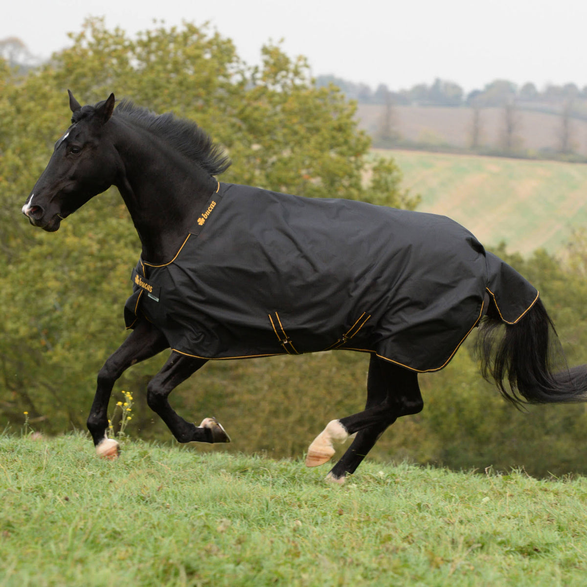 50 Grams 175 Black / Gold Turnout G4253
