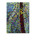 Canvas Art I39333