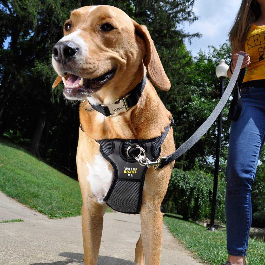 Padded Harness O60992
