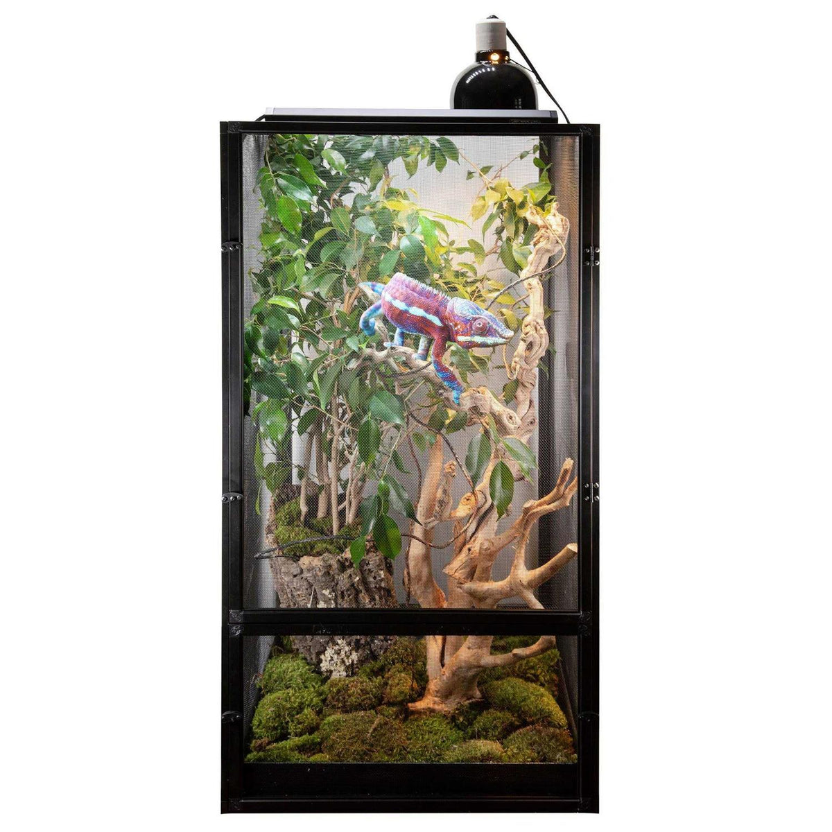 Chameleon Starter Kit E278