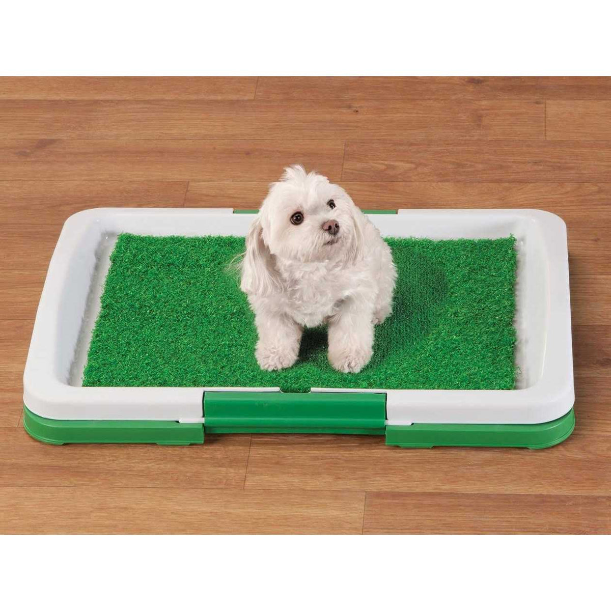 Dog Potty Patch U92042