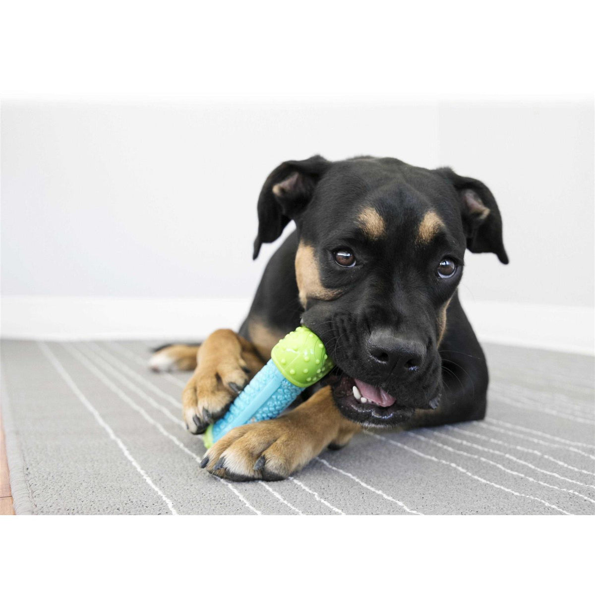 Ball Dog Toy U55108