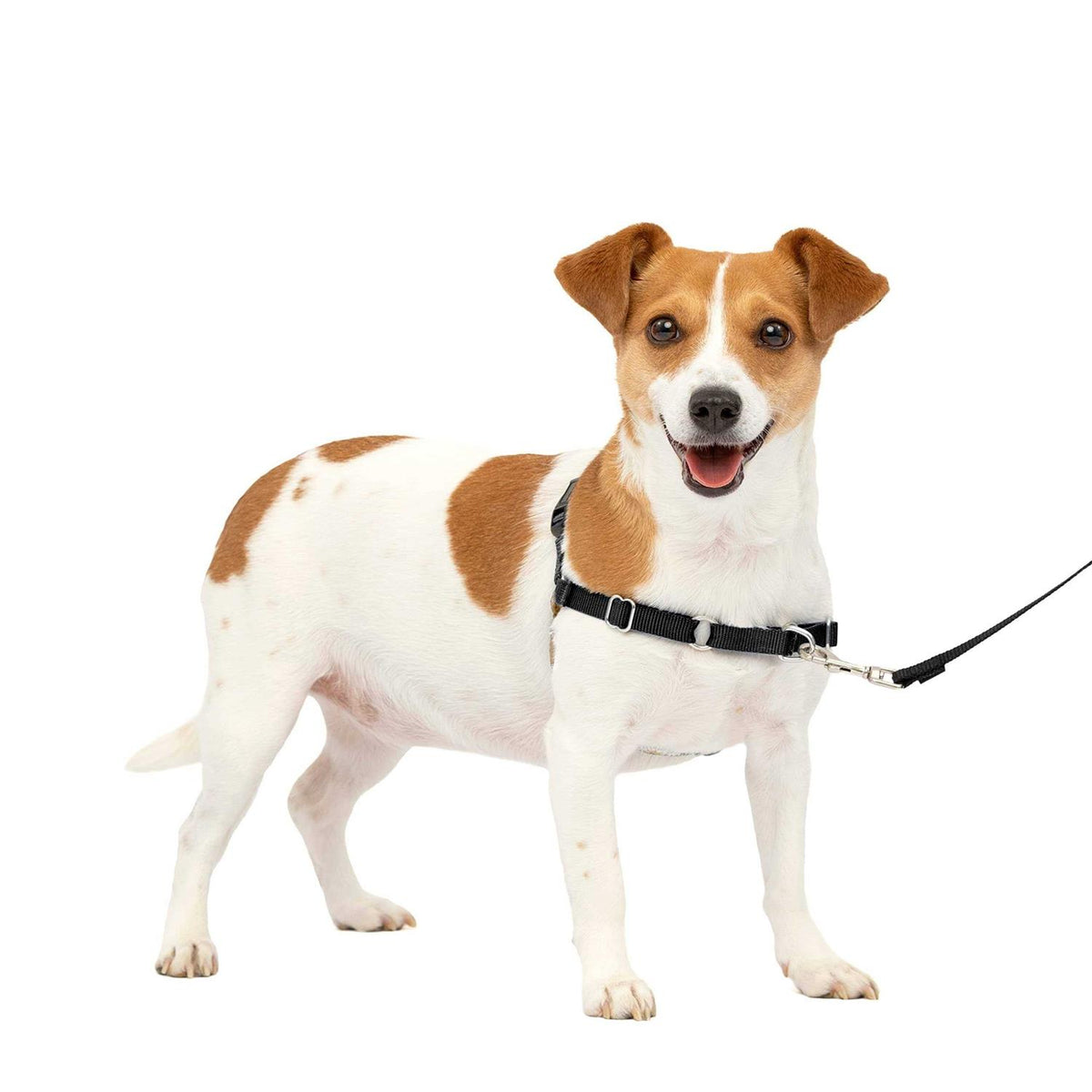 Dog Harness M1262