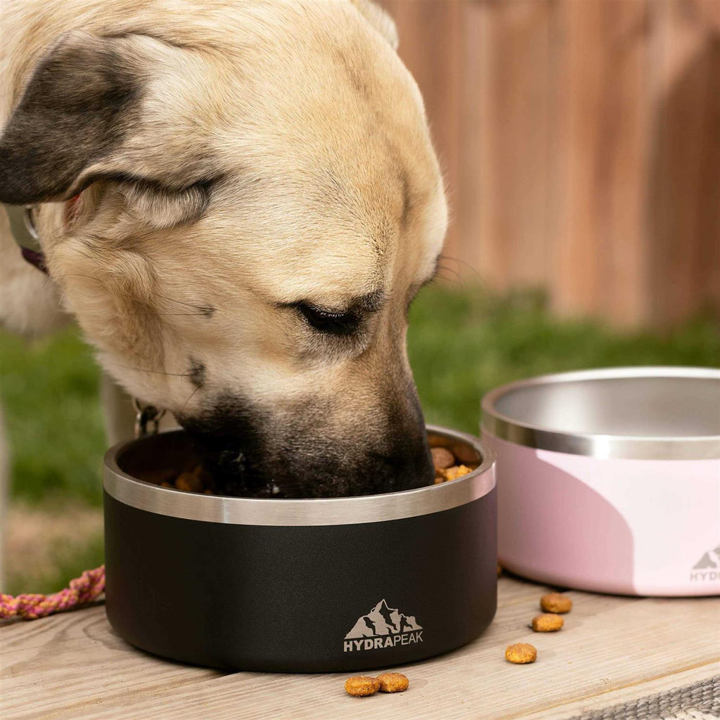 Non Slip Stainless Steel Dog Bowl O59830
