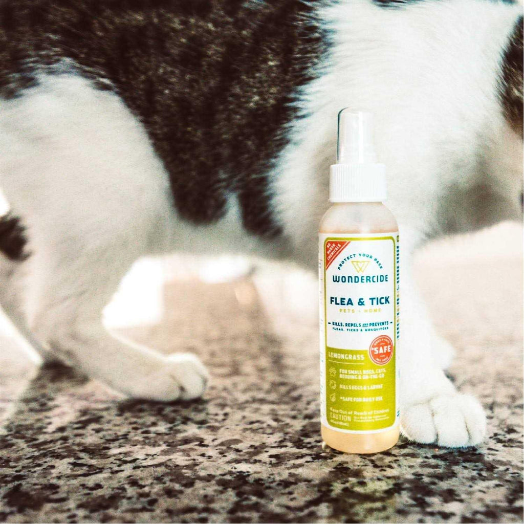 Flea & Tick Spray R75650