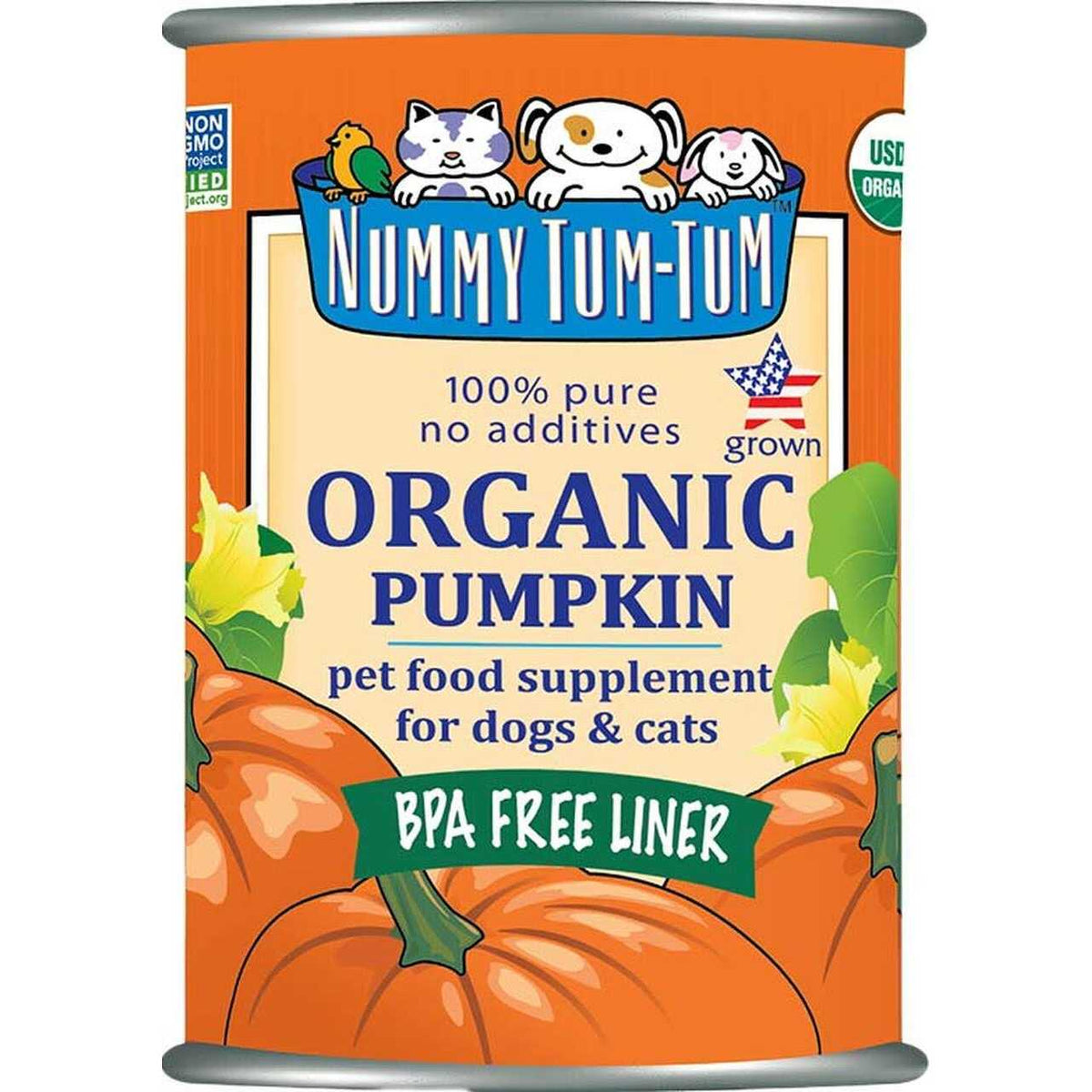 Organic Pumpkin X890942