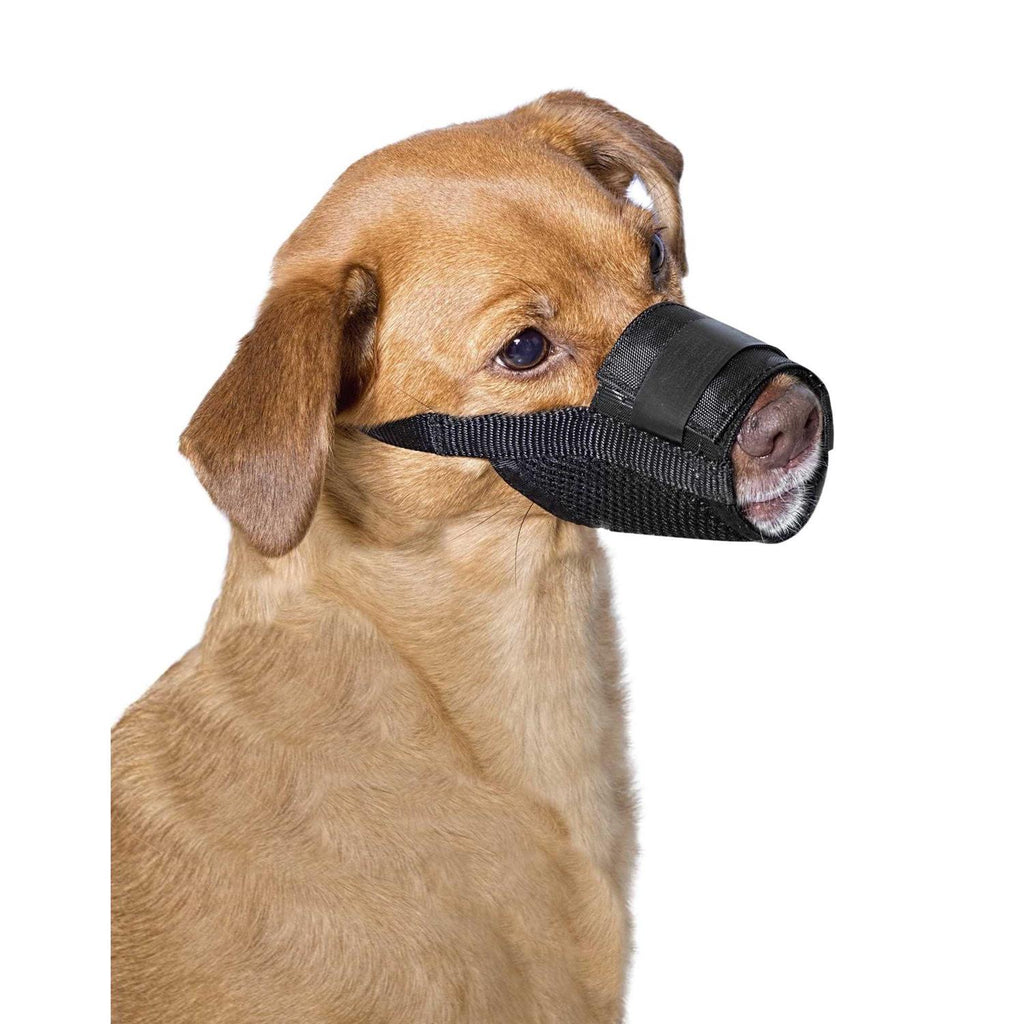 Dog Muzzle X117067