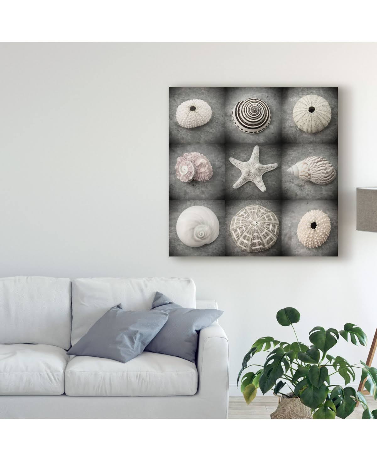 Canvas Q45255