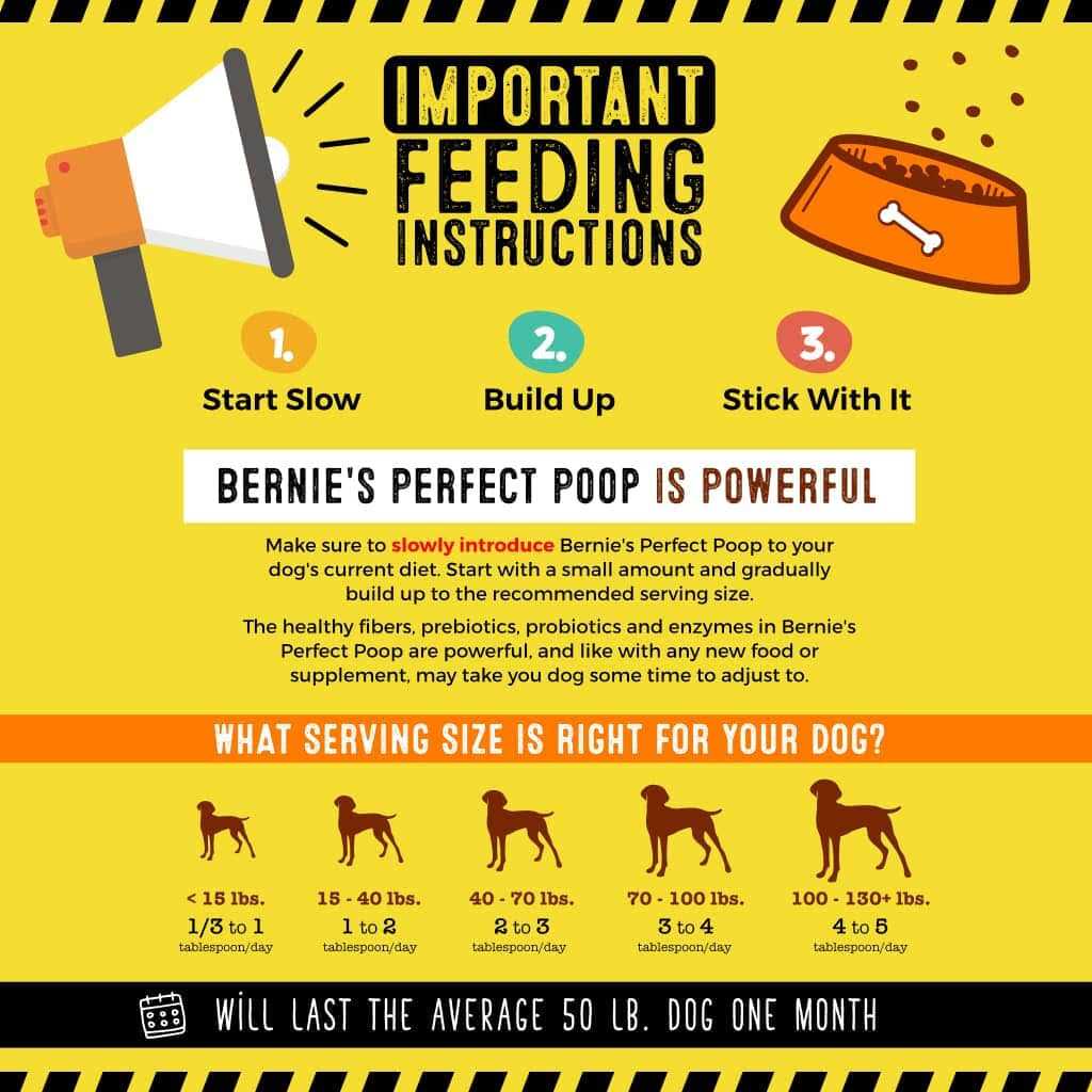 Perfect Poop Supplement N966688