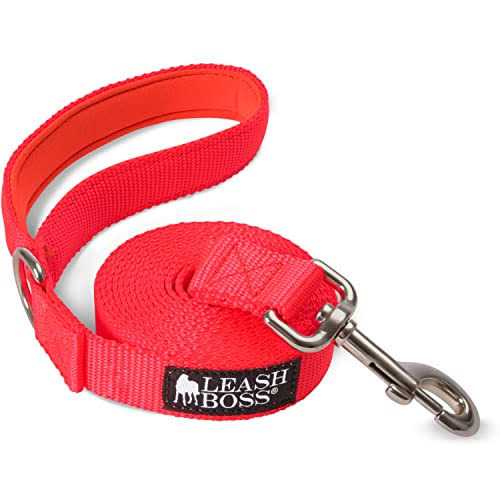 10 Foot Dog Leash with Padded Handle V912664