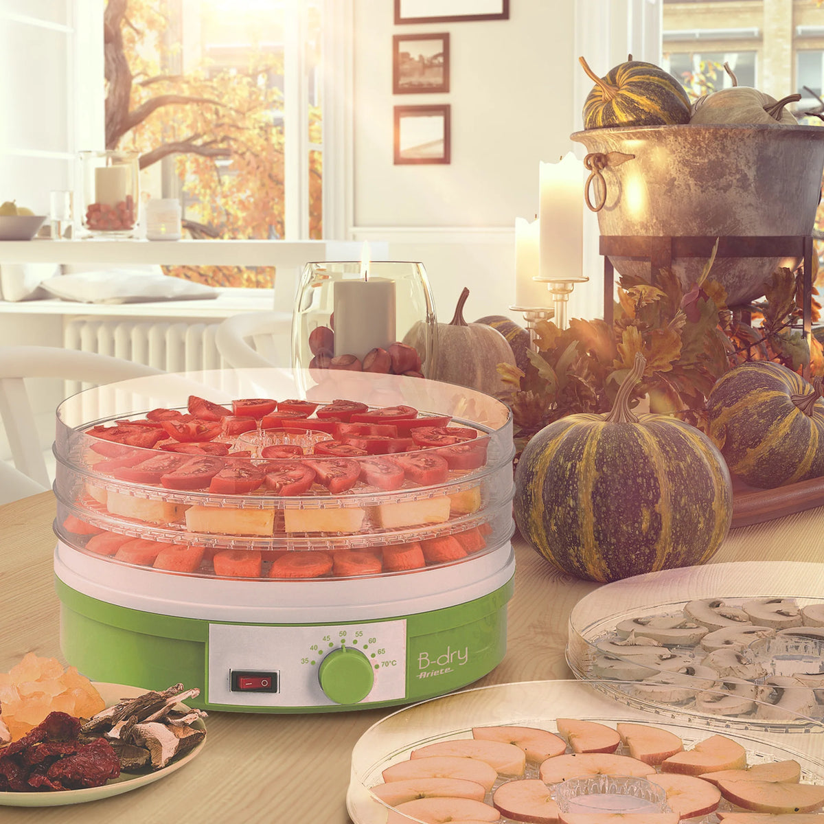 Dehydrator Cooker 5 Baskets 245W B3051