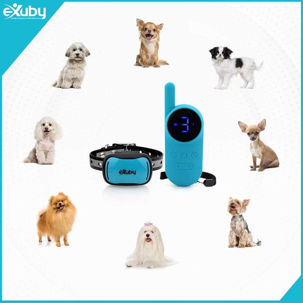 Tiny Shock Collar for Small Dogs 5-15lbs V14145