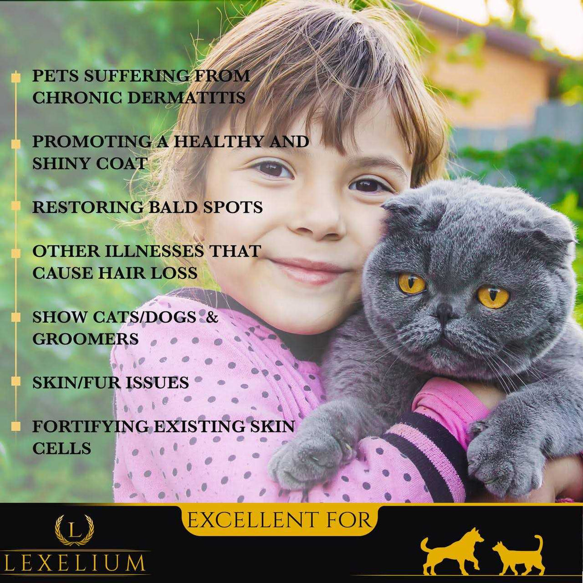 Dermatitis Skin and Coat Supplement for Dogs and Cats P87624