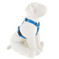 Dog Harness Z48182