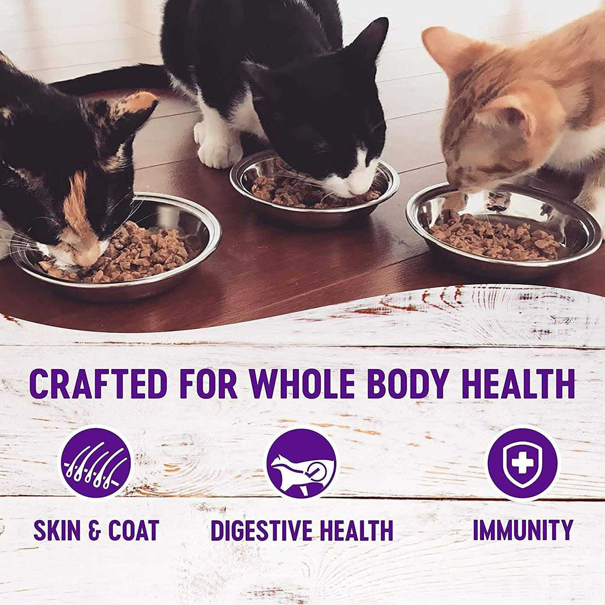 Premium Canned Cat Wet Food Pate 12 Pack 4 Flavor X985791