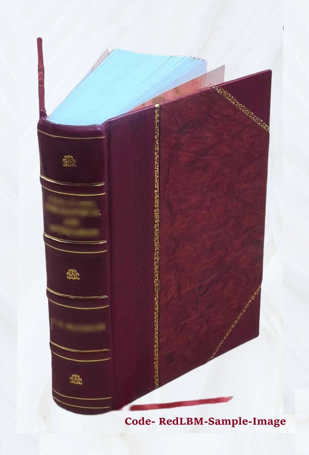 Leather Bound Book X51022