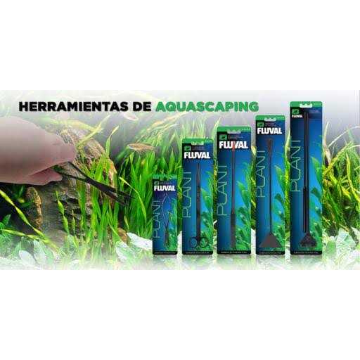 Aquarium Forceps X98528