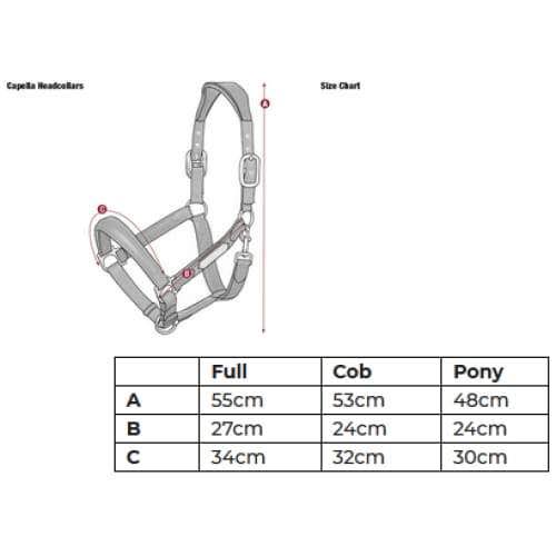 Navy COB Headcollar I4696