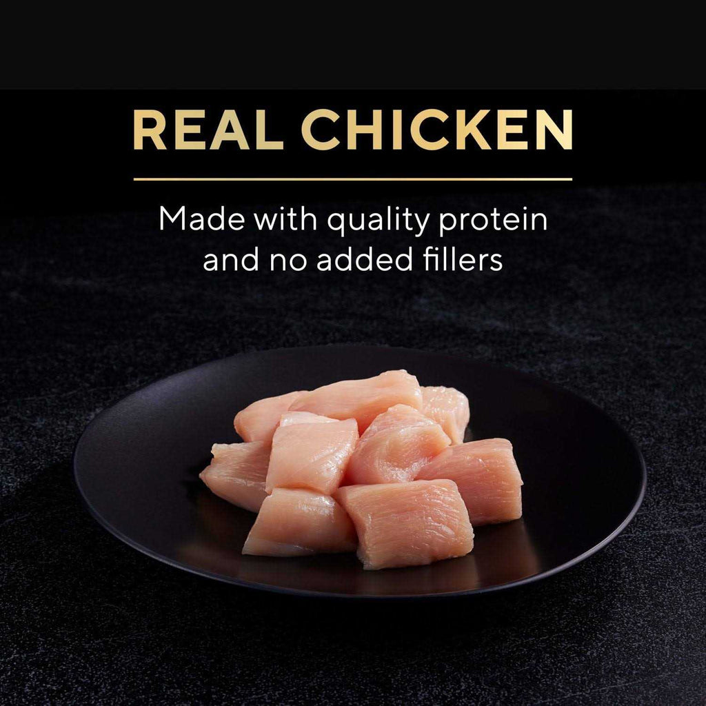 Chicken in Alfredo Sauce Wet Cat Food I2468
