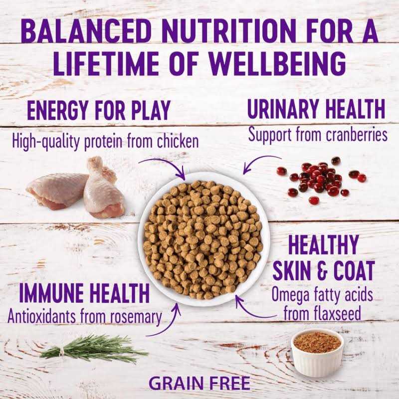 Grain Free Senior Dry Cat Food O1178