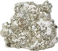 Pyrite Mineral Fossil Stone Healing Crystal Fossils G868