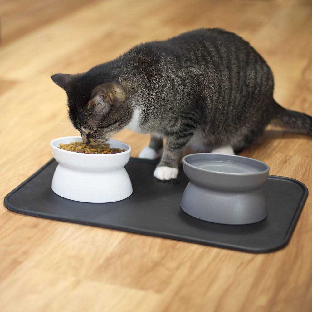 Raised Cat Food Bowl and Waterer X23696