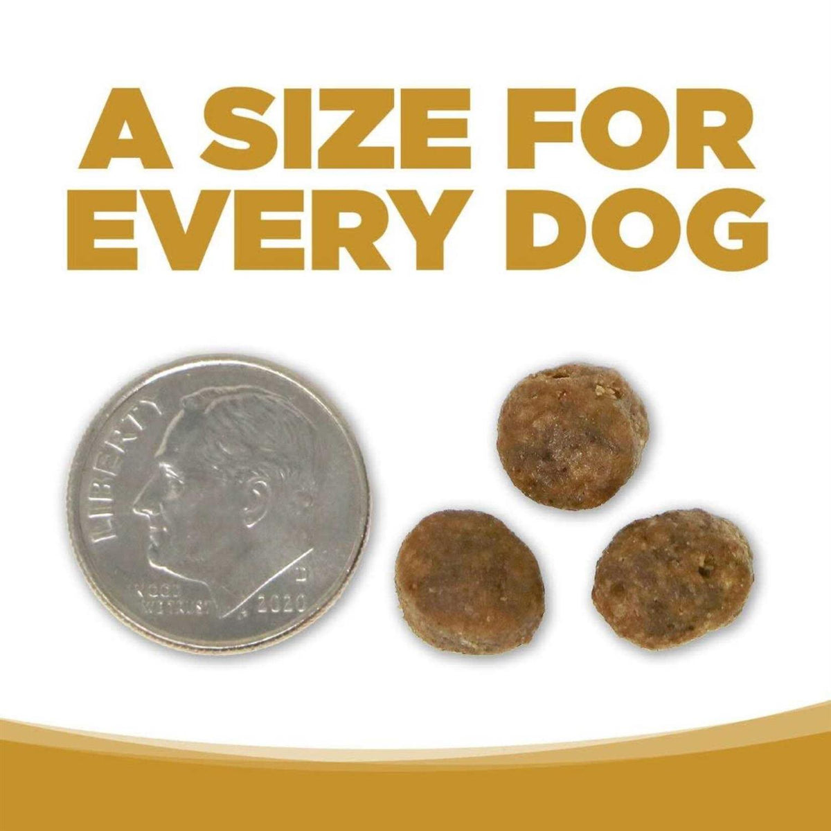 Grain Free Dog Food P69068