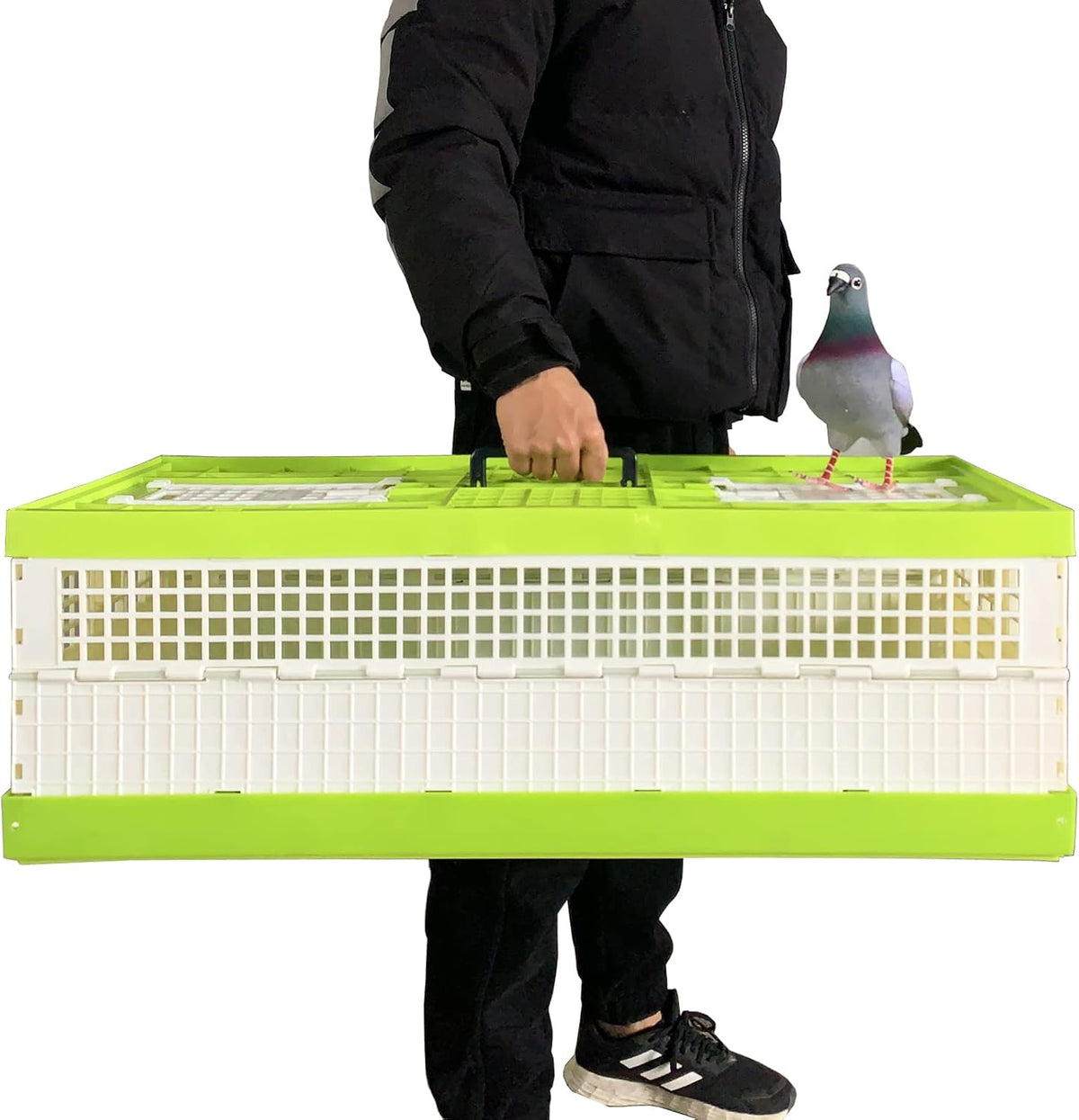 Plastic Folding Pigeon Cage 32in Z443