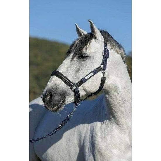 Navy COB Headcollar I4696
