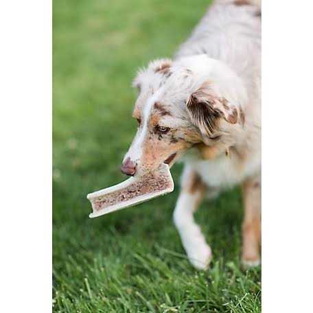 Split Elk Antlers for Dogs V40082