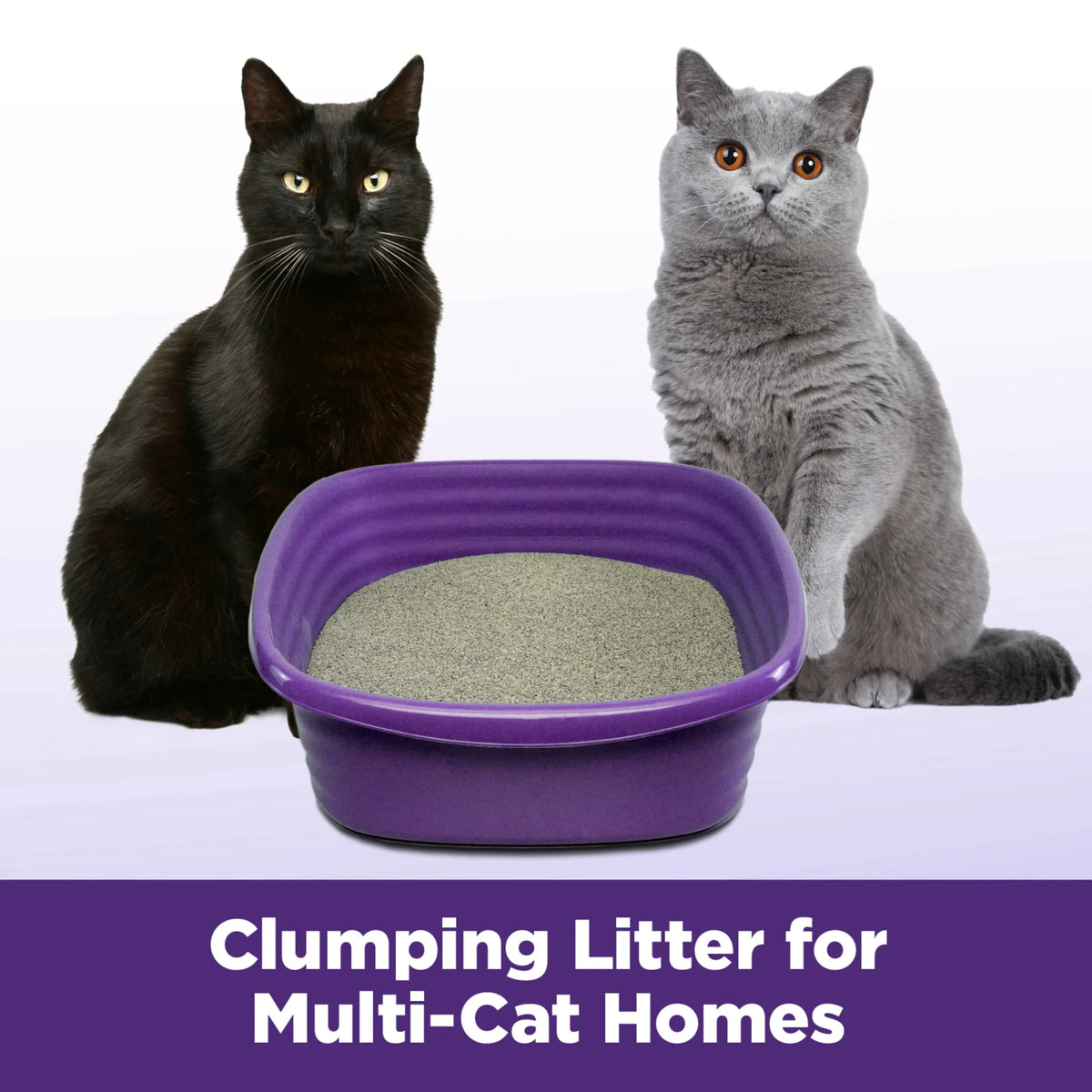 Clumping Cat Litter, 14 lbs V29731