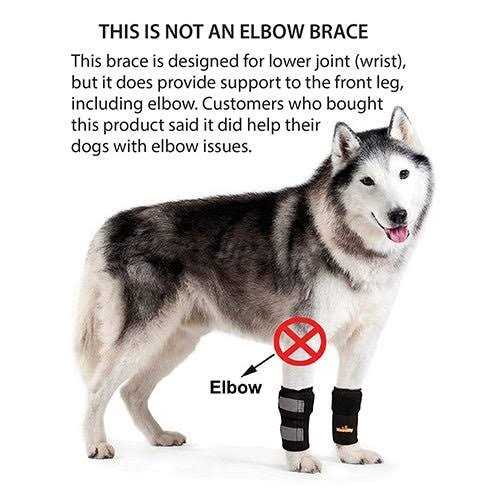 Dog Front Leg Braces and Support Q34315