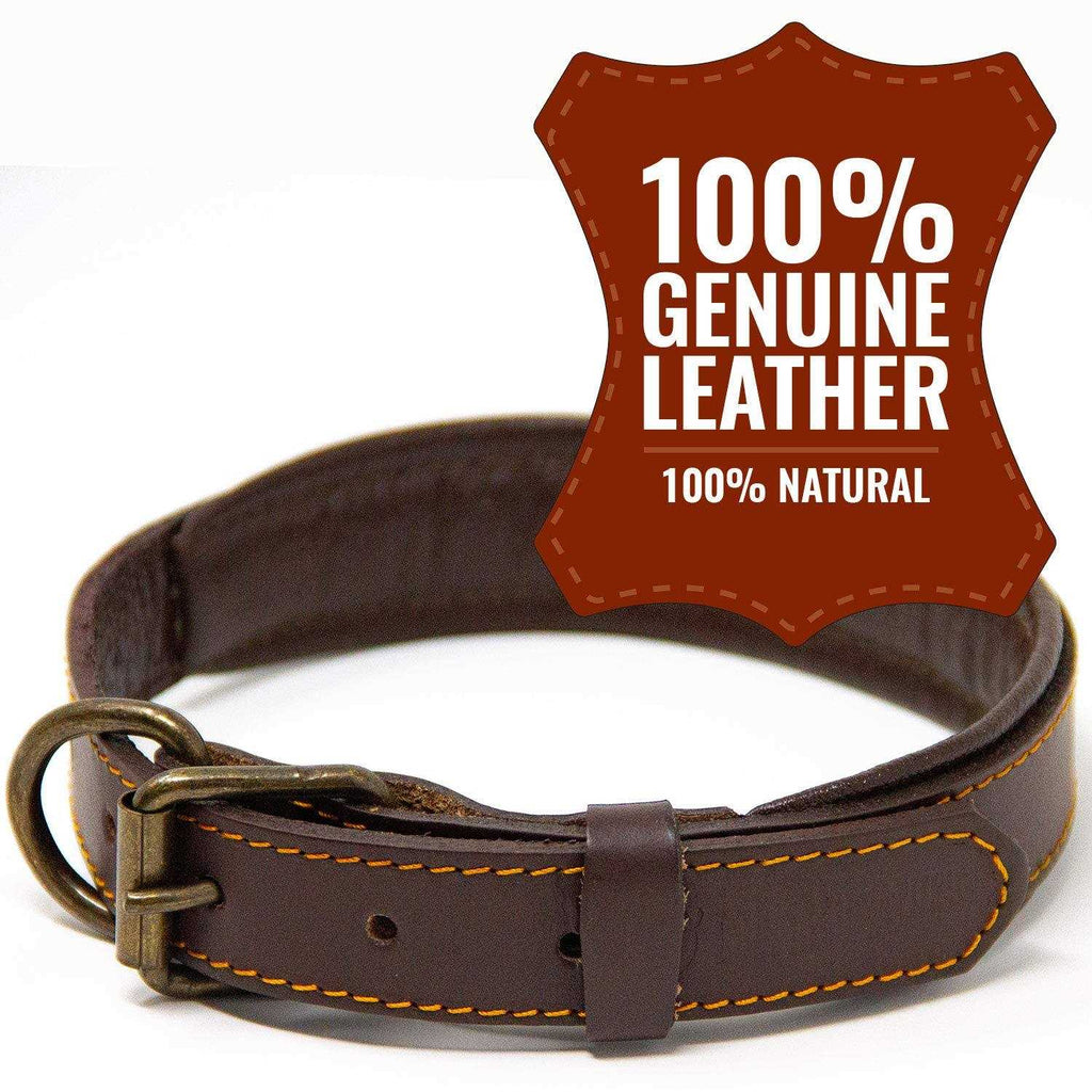 Padded Full Grain Leather Dog Collar M1116